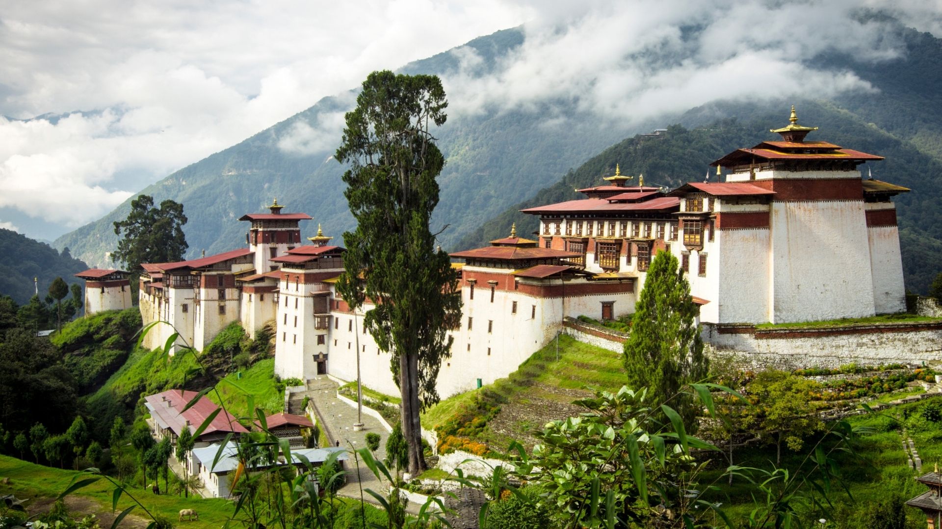 Bhutan Punakha 
