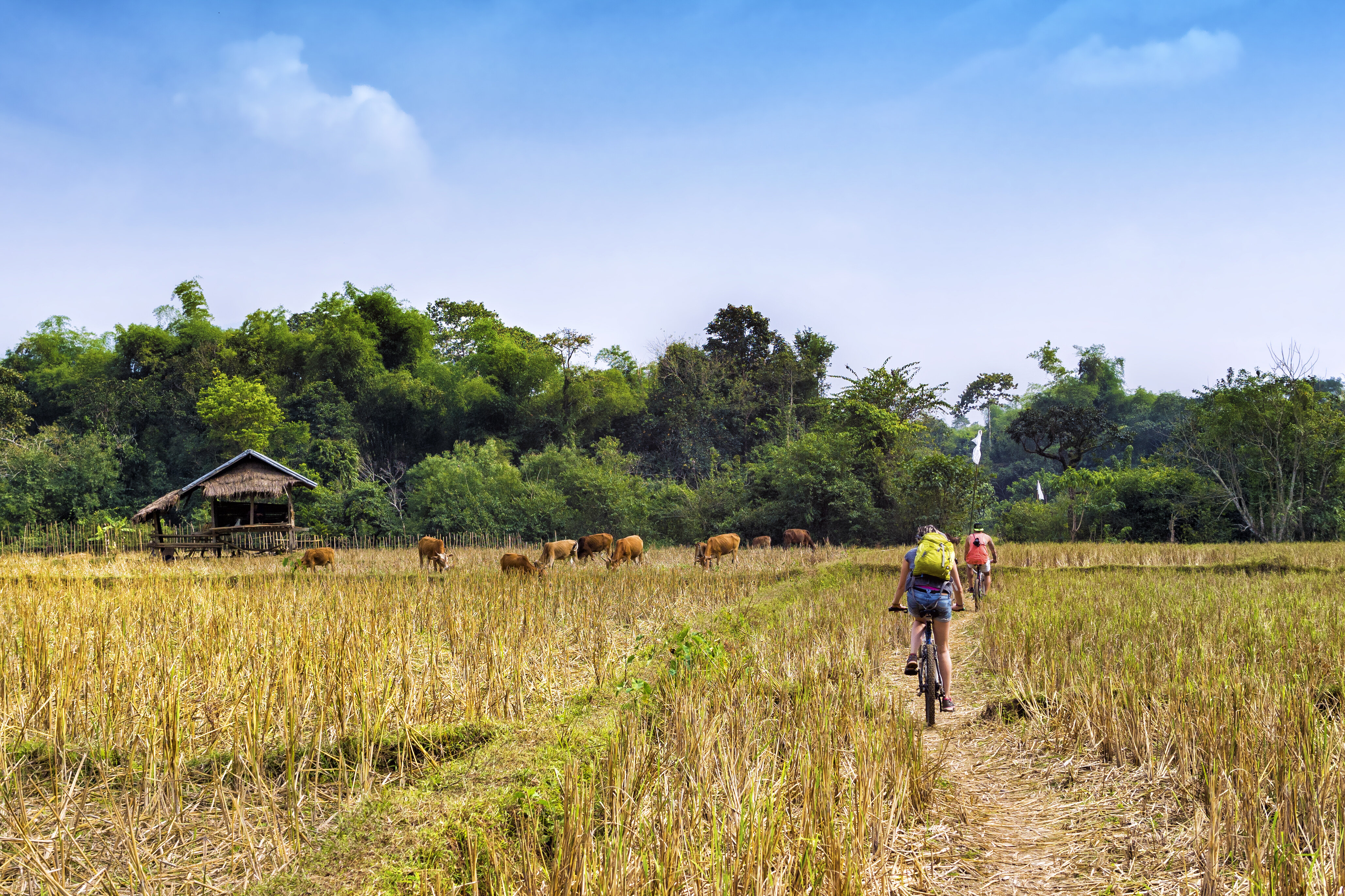 laos-cycling