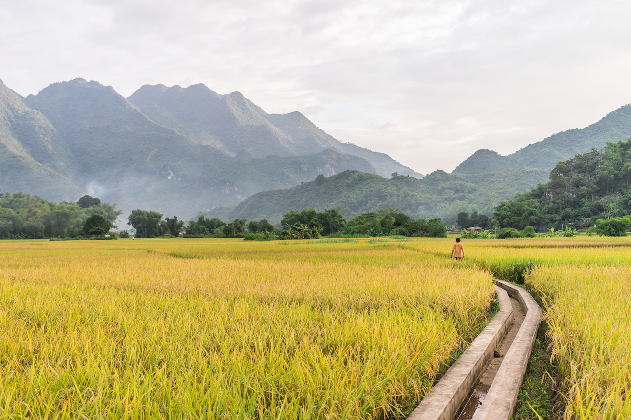 Räätälöity matka - Pohjois-Vietnam patikointimatka - Mai Chau ja Lanha Bay