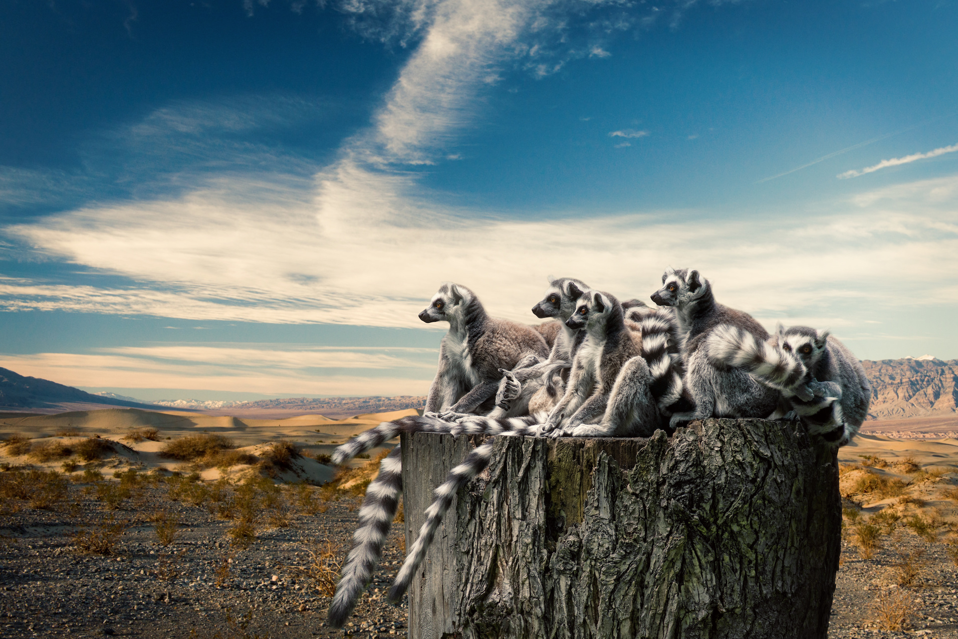 Madagaskarin kiertomatka