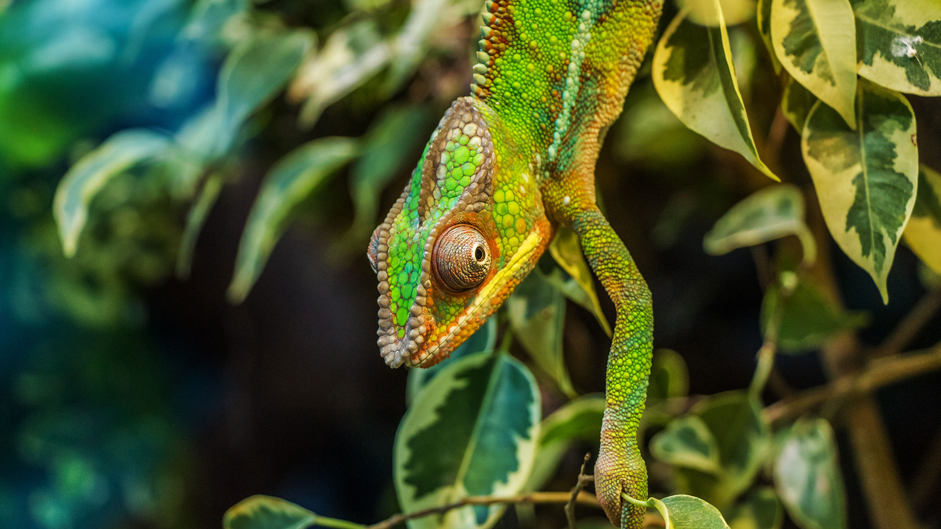 Räätälöity matka - Etelä-Madagaskarin kiertomatka