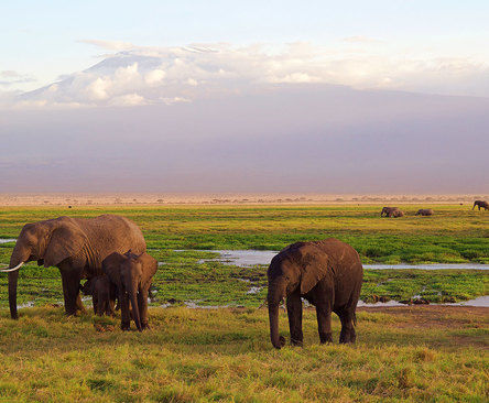 Kilimanjaron vaellusmatka Tansania