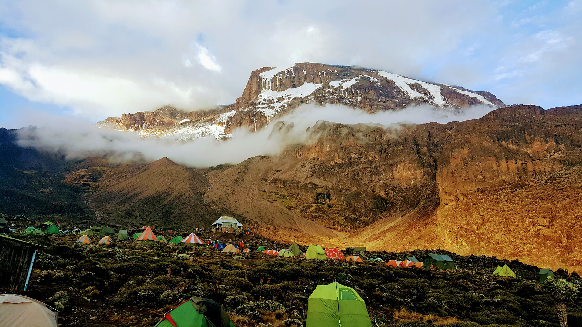 Kilimanjaro vuori maisemaa leiristä
