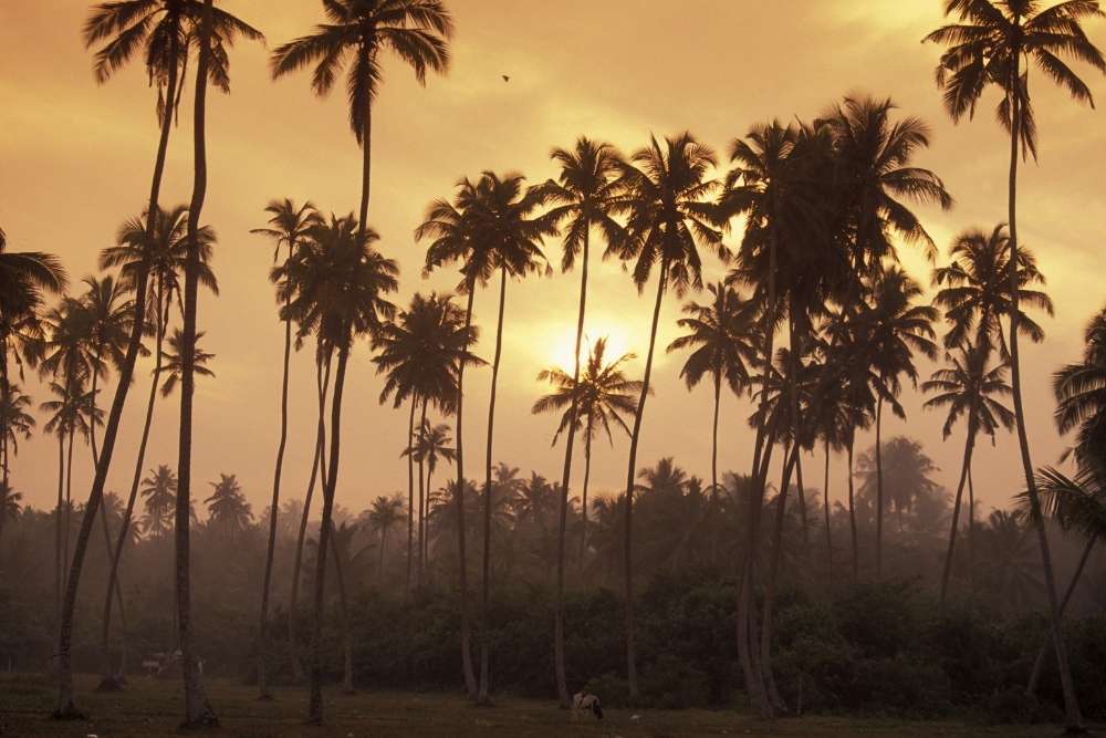 Sri Lankan matka - rannalla auringonlasku
