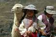 Andien Kiertomatka - Peru laama tyttö