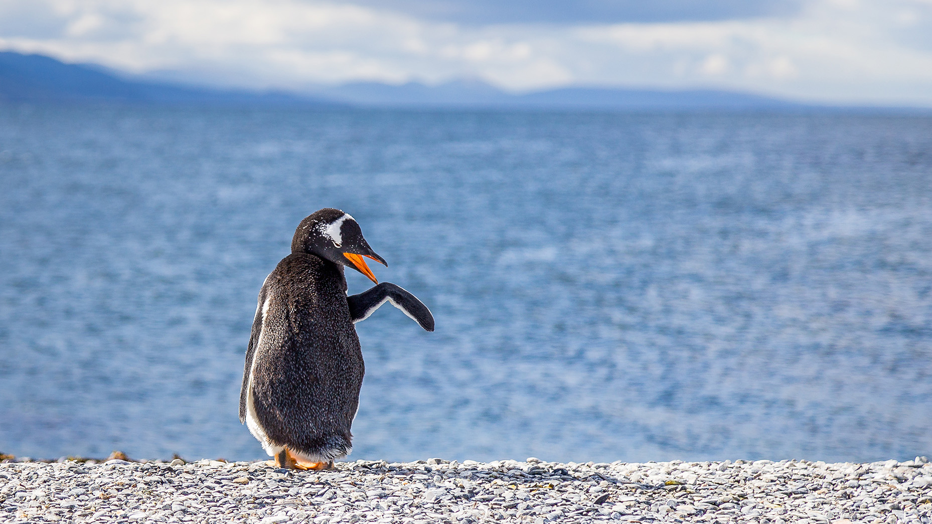 Argentiinan Patagonia ja Tulimaa -kiertomatka