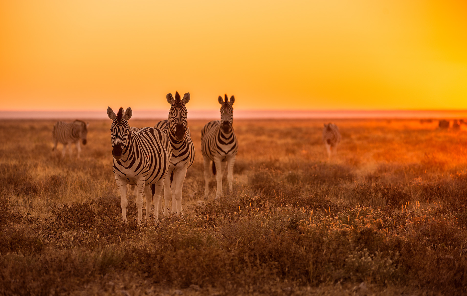 Räätälöity matka - Eteläisen Afrikan tähdet -kiertomatka, Namibia, Botswana & Zimbabwe