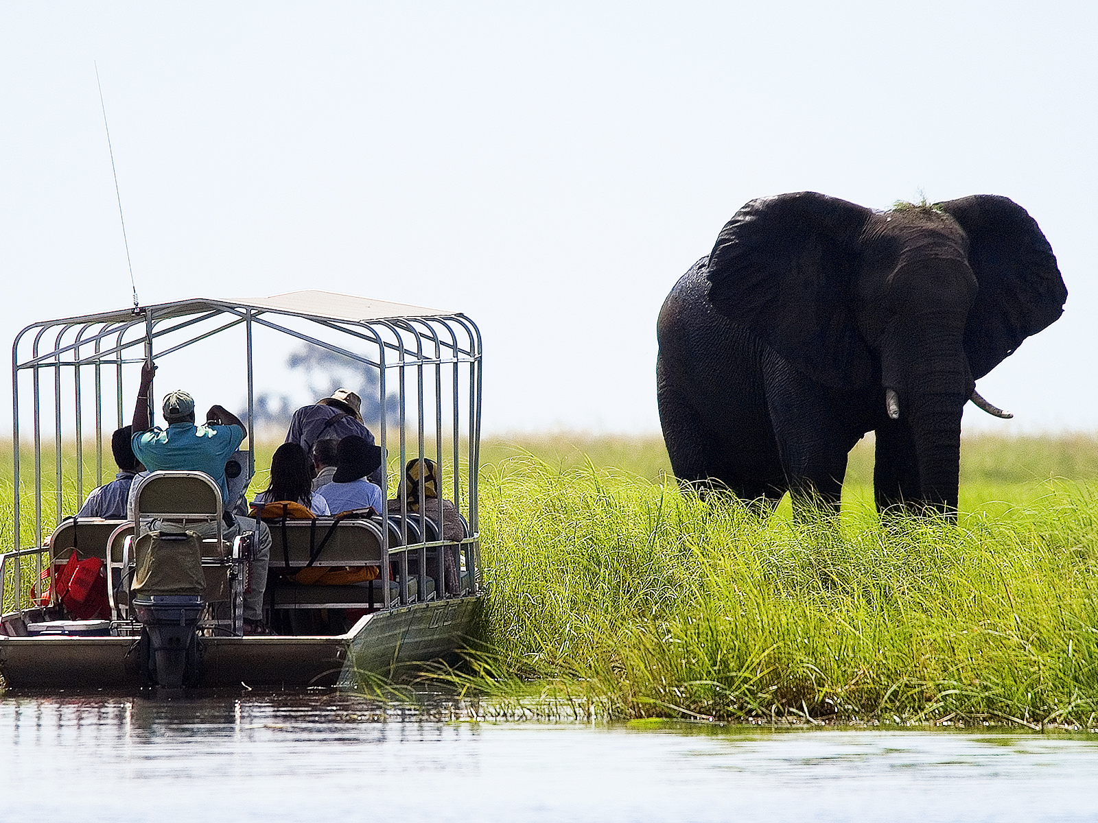 Botswanan ja Zimbabwen safarimatka