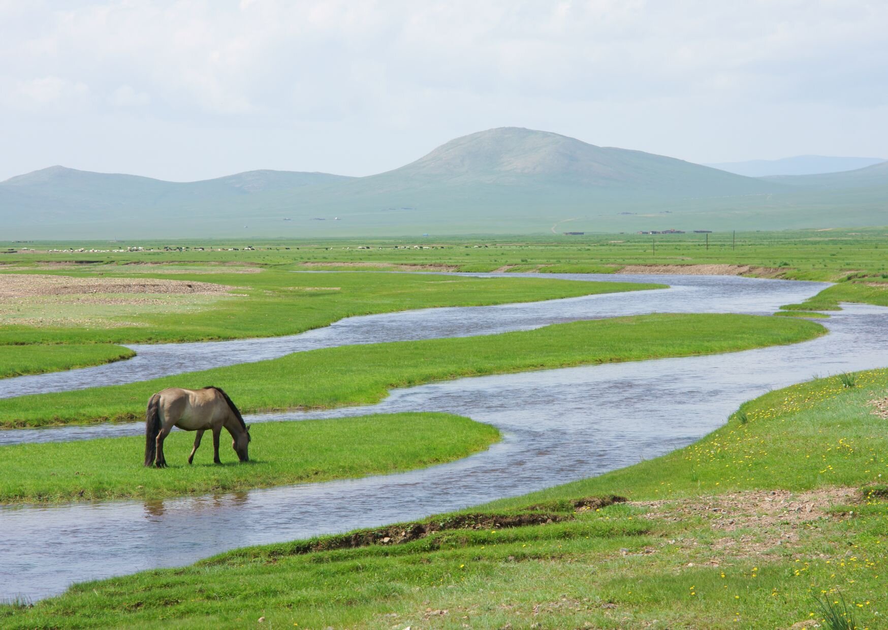 Mongolian upea luonto - 4vrk matkaohjelma