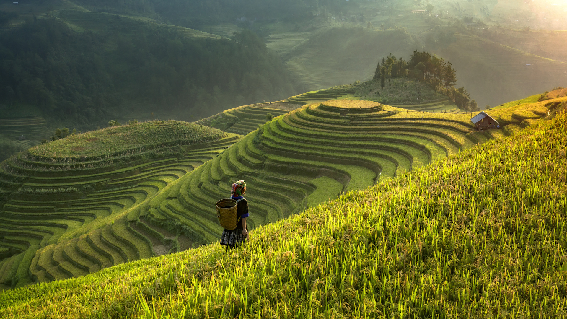 Räätälöity matka - Vietnam patikointimatka ja risteily Halonginlahdella