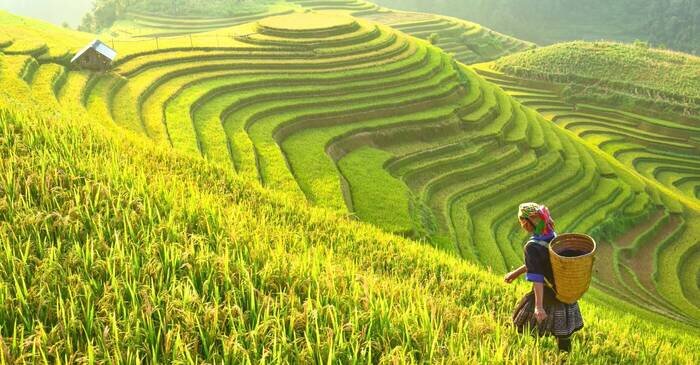 Vietnam