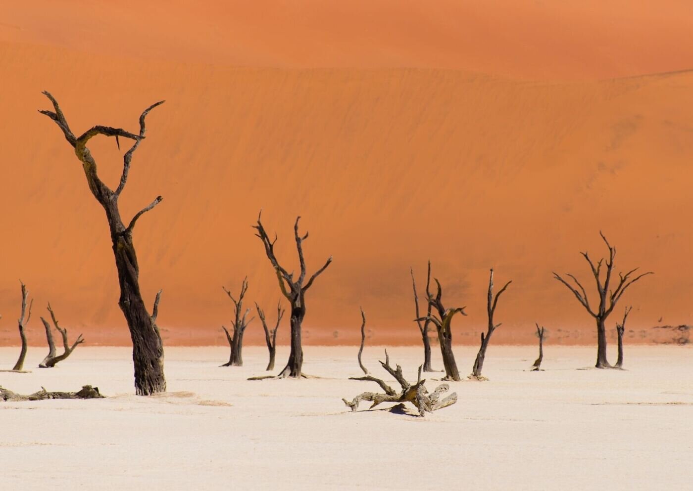 Deadvlei