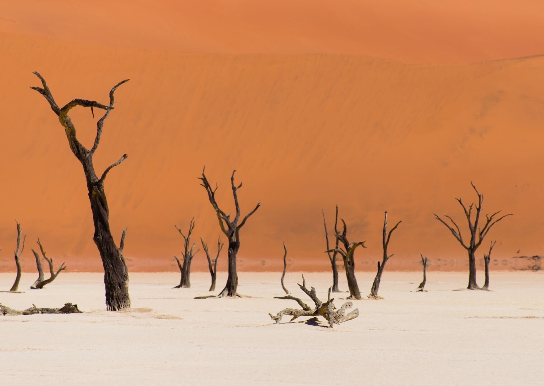 deadvlei