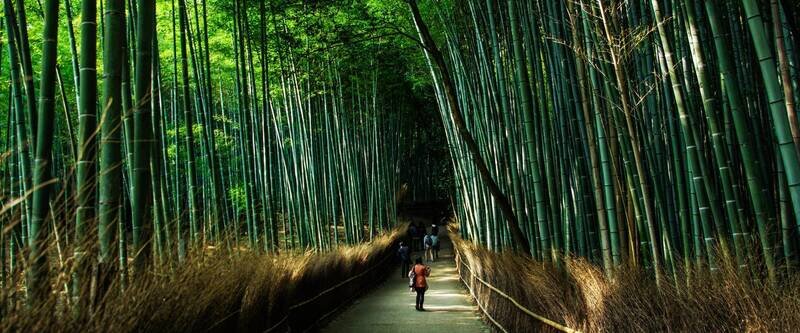 Vaellus Japanin Nakasendo-reitillä