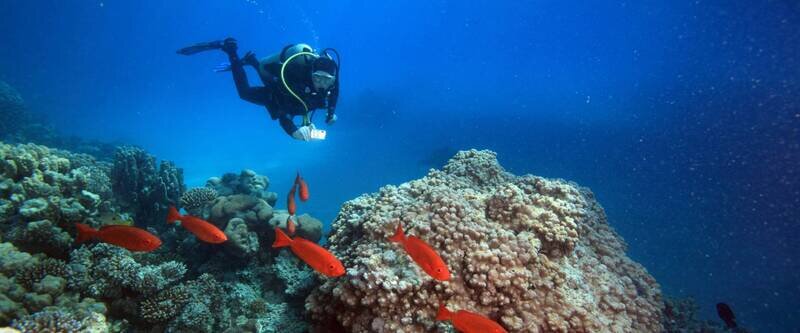 Maailman valtameret osa1