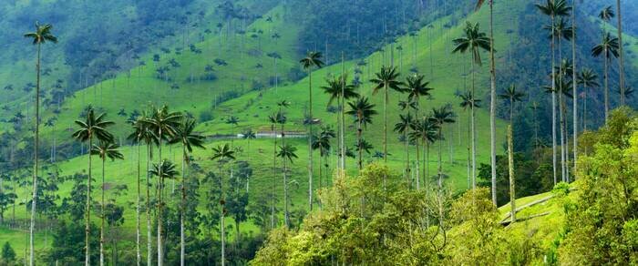 Colombia%20tour%20%285%29