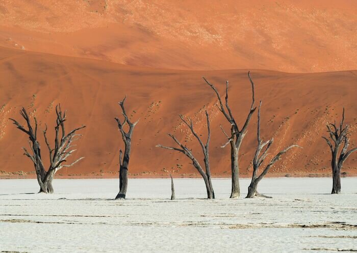 Sossusvlei