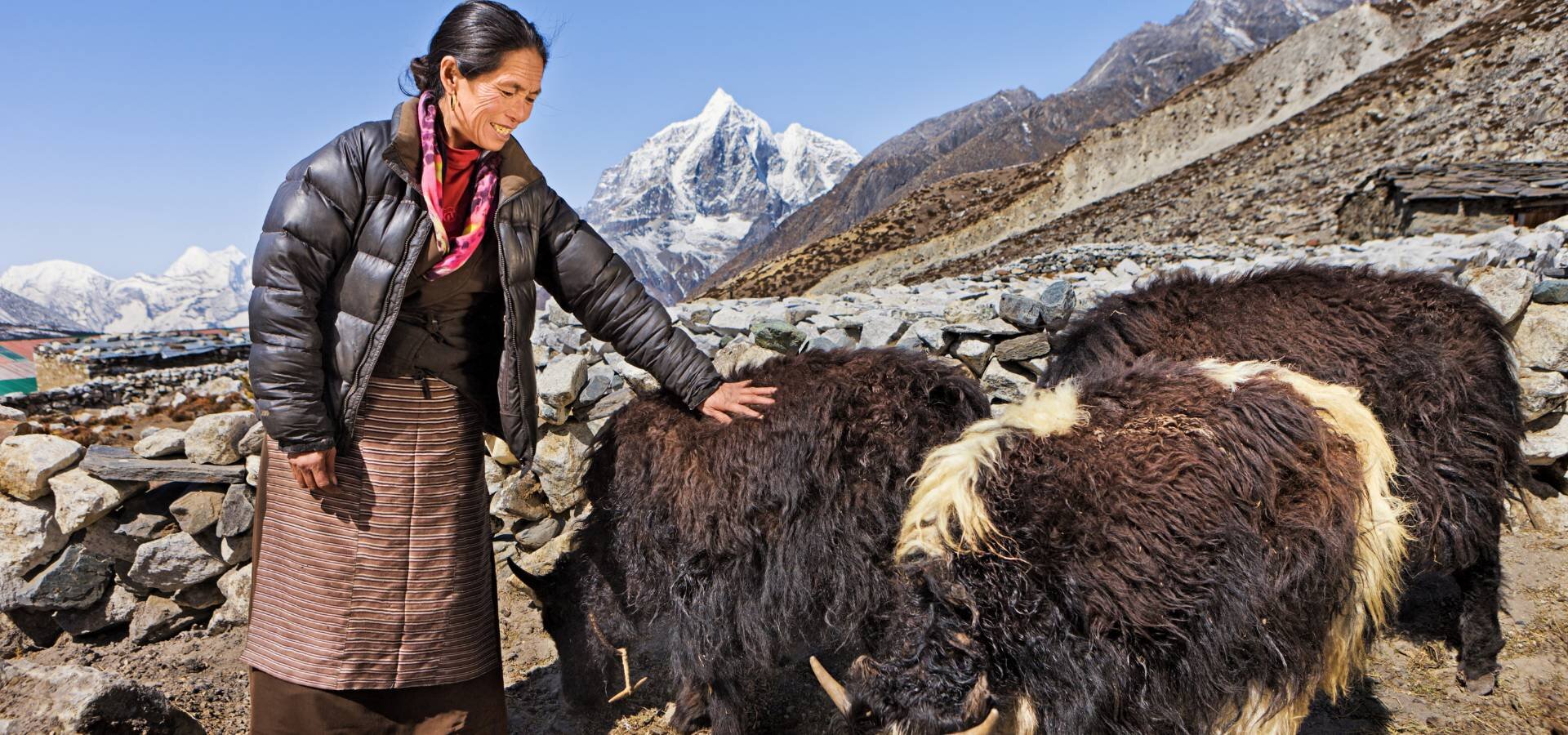 nepal-vaellus-jakit