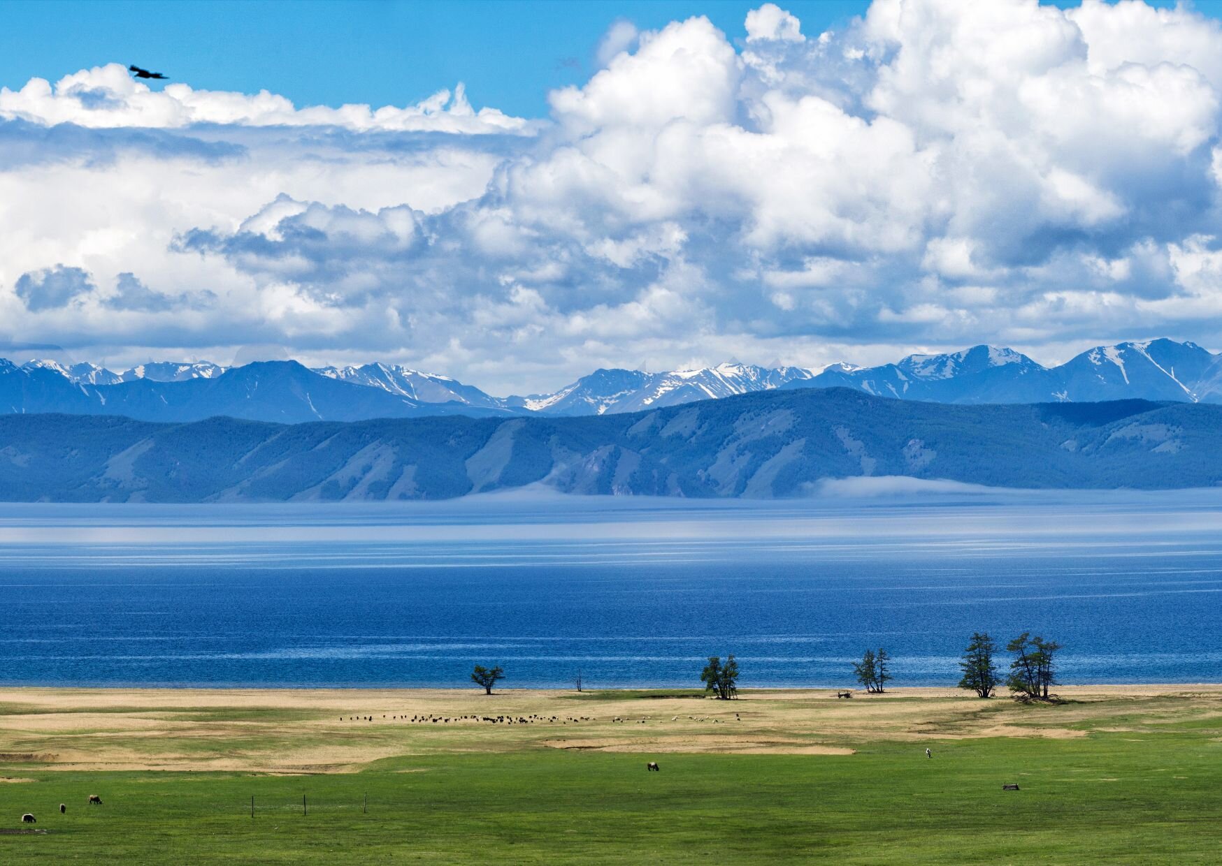 Mongolia-etu