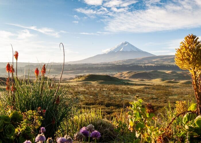 Cotopaxi