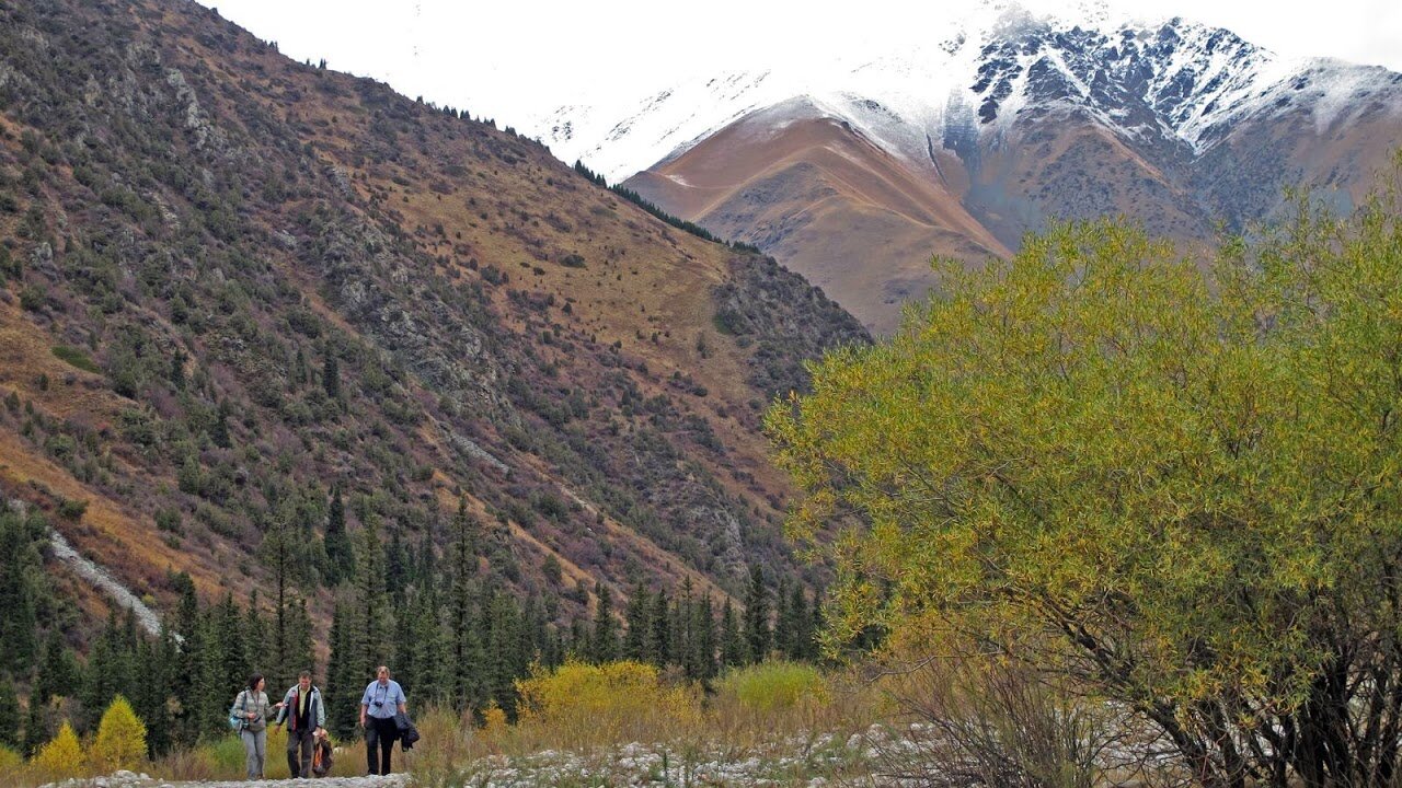 15337157929 f5a47e6b62 o