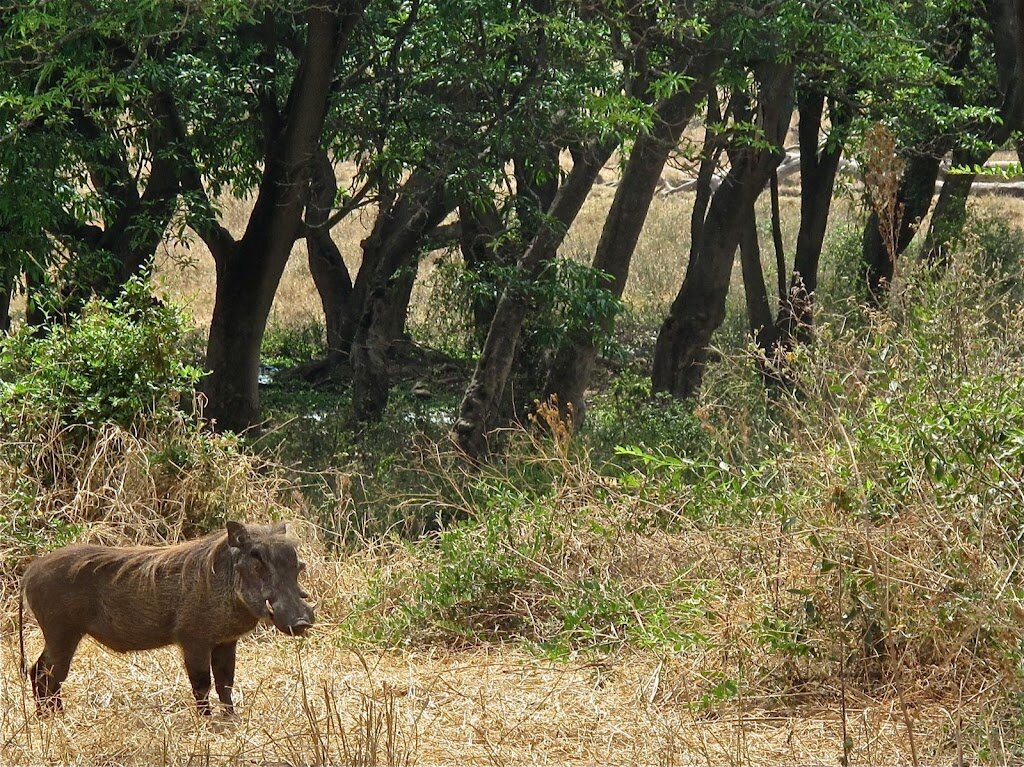 7690373684 9c954931fe o