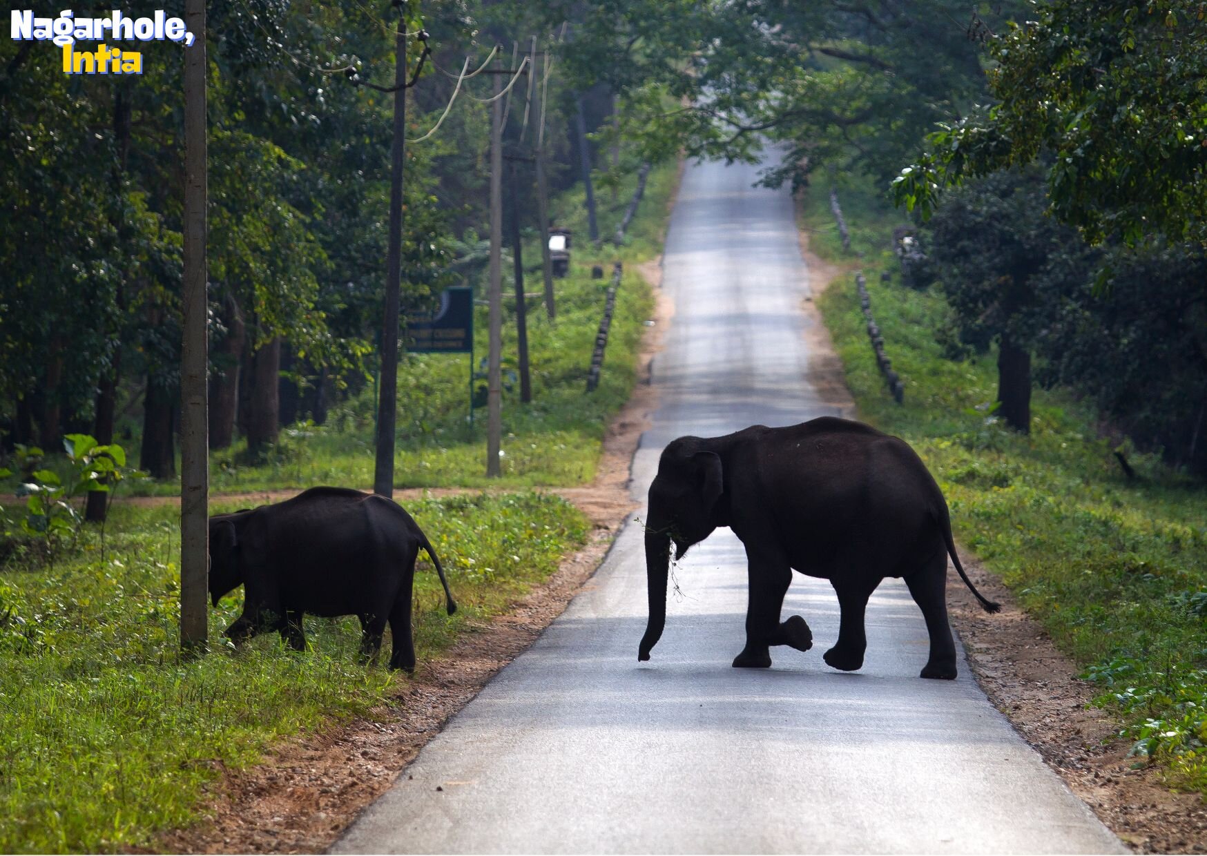 Nagarhole, Intia