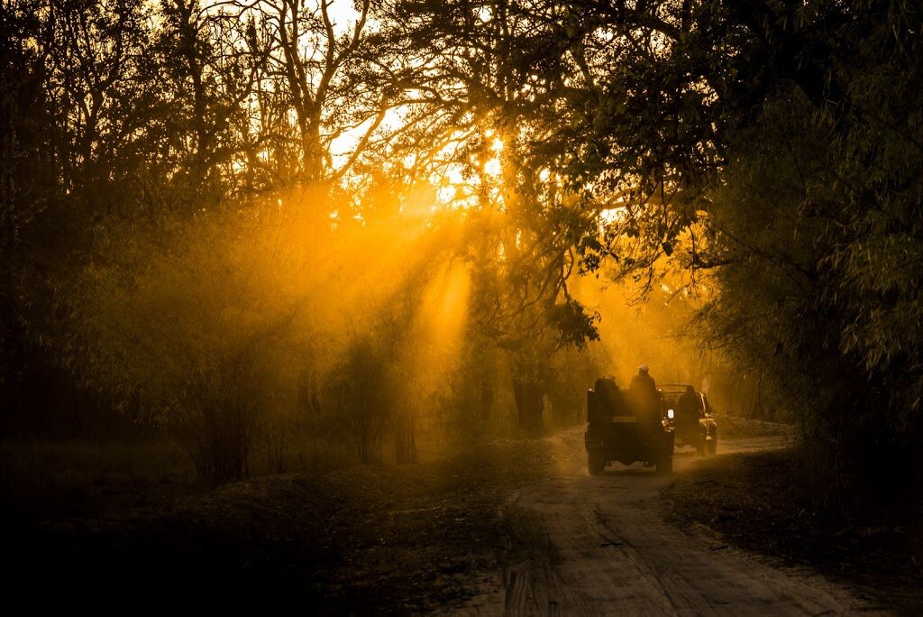 8757968902 5760ba92c4 o