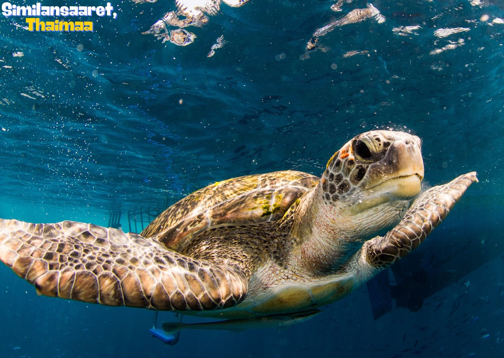 Similansaaret, Thaimaa