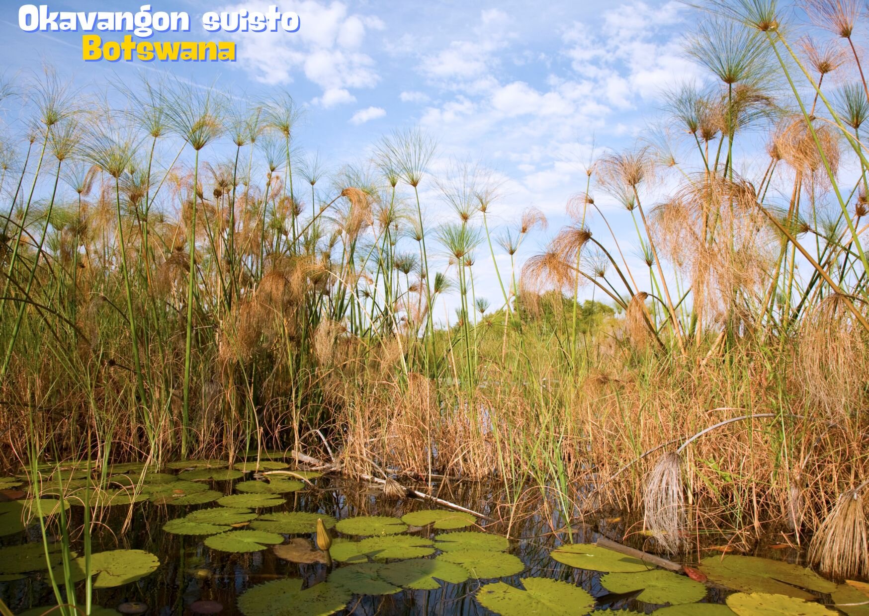 Okavangon suisto Botswana