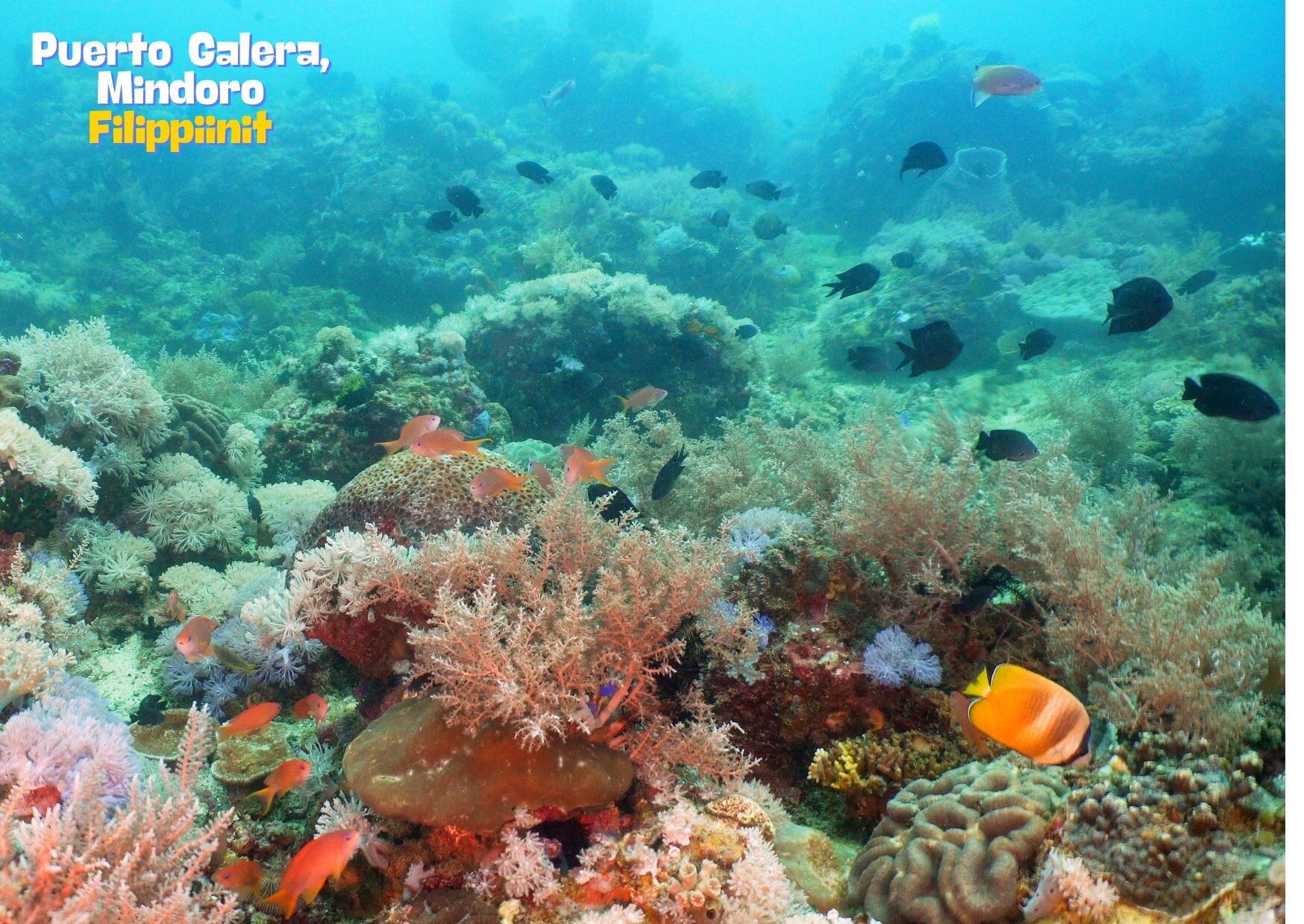 Puerto Galera, Mindoro Filippiinit