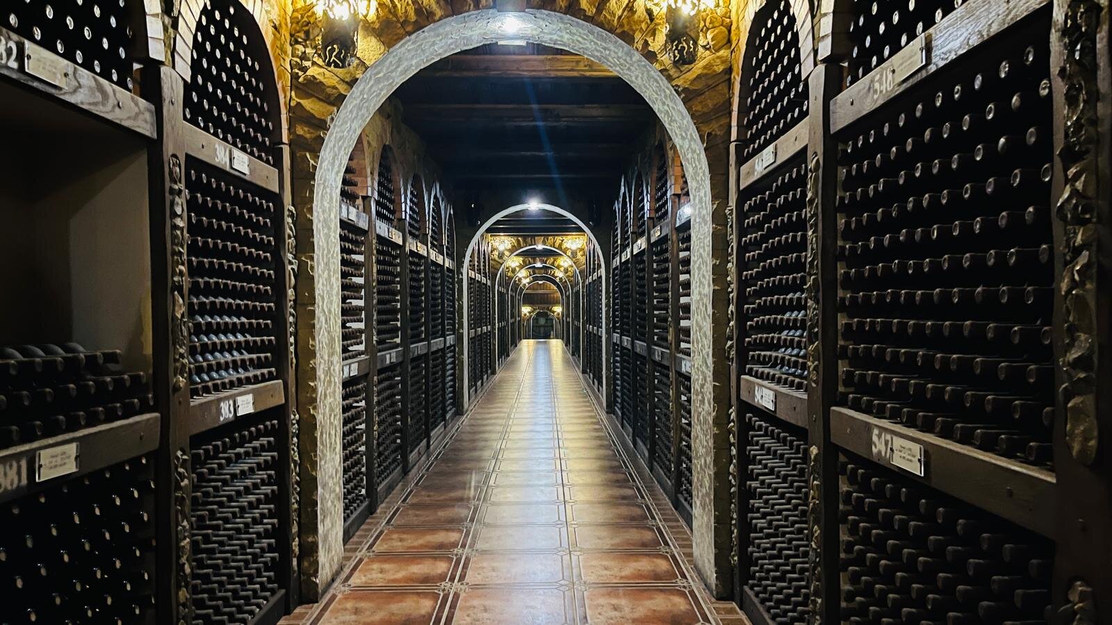 WhatsApp-Kuva 2025-08-18 klo 18.46.39 f7a389d4