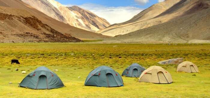 Ladakh4